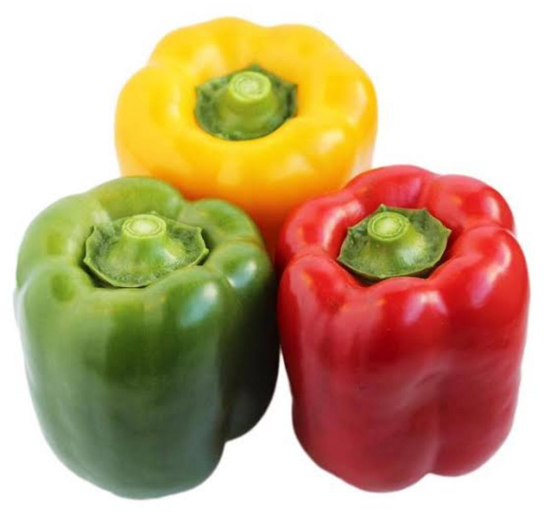 Double Robot Pepper (6 units)