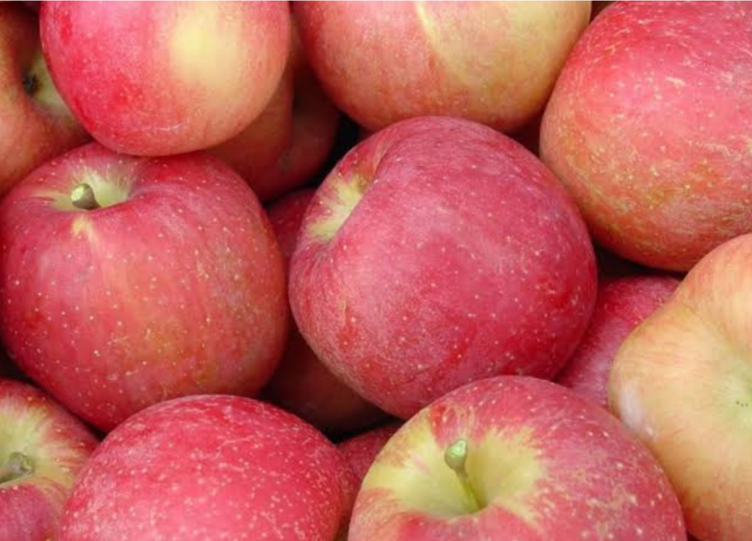 6 Prepacked Red Apples