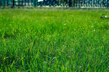 Load image into Gallery viewer, Residential Grass Cutting Booking